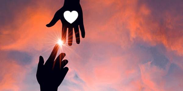 donor relationship software (DRM)